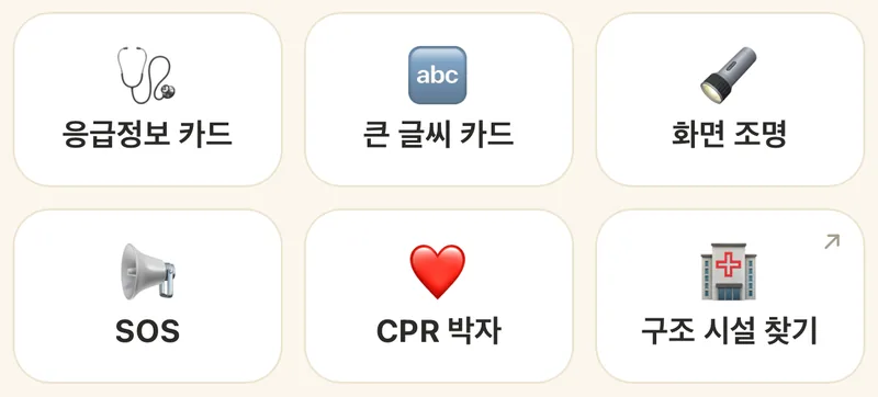 바로 쓰는 도구 타일 6개: 응급정보 카드, 큰 글씨 카드, 화면 조명, SOS, CPR 박자, 구조 시설 찾기